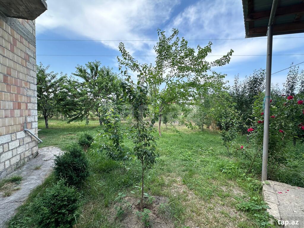 Bağ evi kirayə verilir, Quba r.