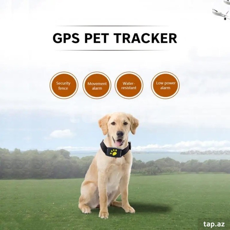 GPS ошейник для собак и кошек (7)