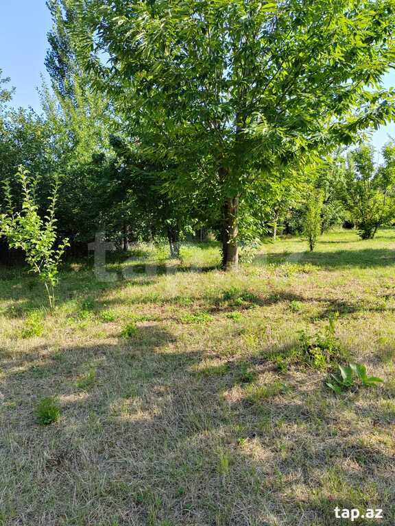 Həyət evi kirayə verilir, İsmayıllı r. (13)