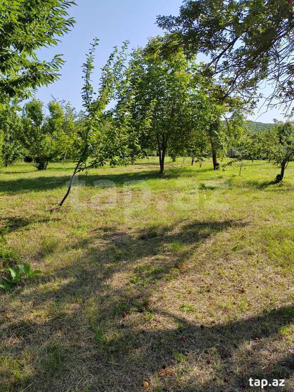 Həyət evi kirayə verilir, İsmayıllı r. (10)