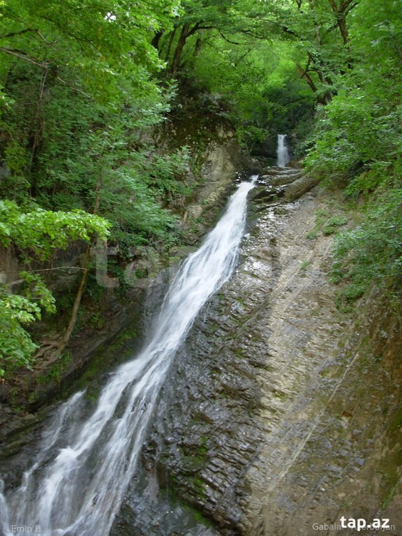 Həyət evi kirayə verilir, Qəbələ r. (17)