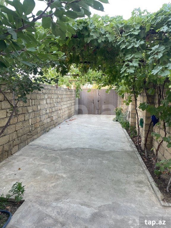 Bağ evi, Novxanı qəs.