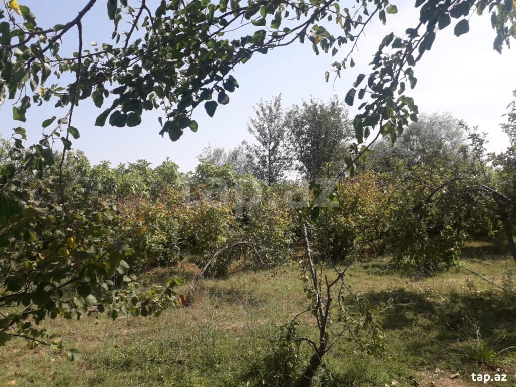 Həyət evi, Xaçmaz r.