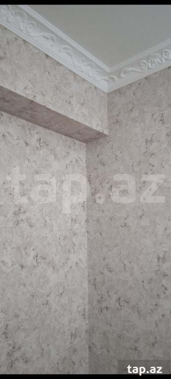 Rəngsaz işləri (4)