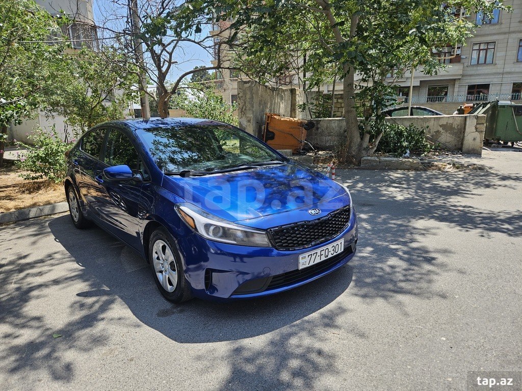 Avtomobil icarəsi (8)