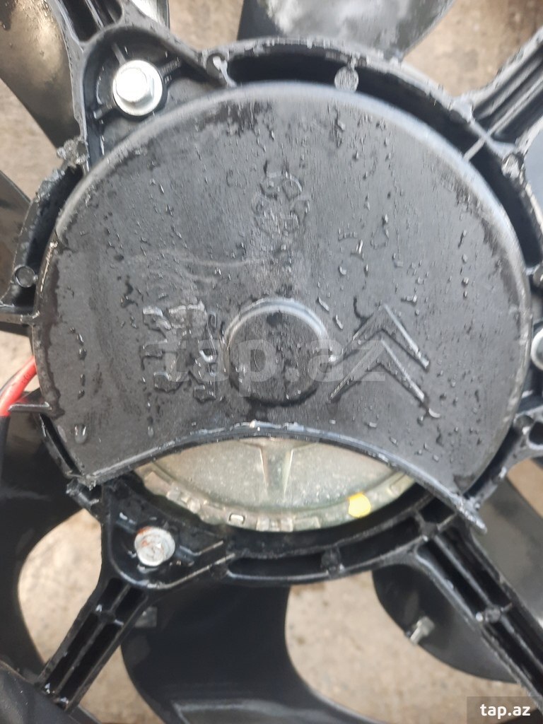"Peugeot, Citroen" radiatoru və pəri (8)