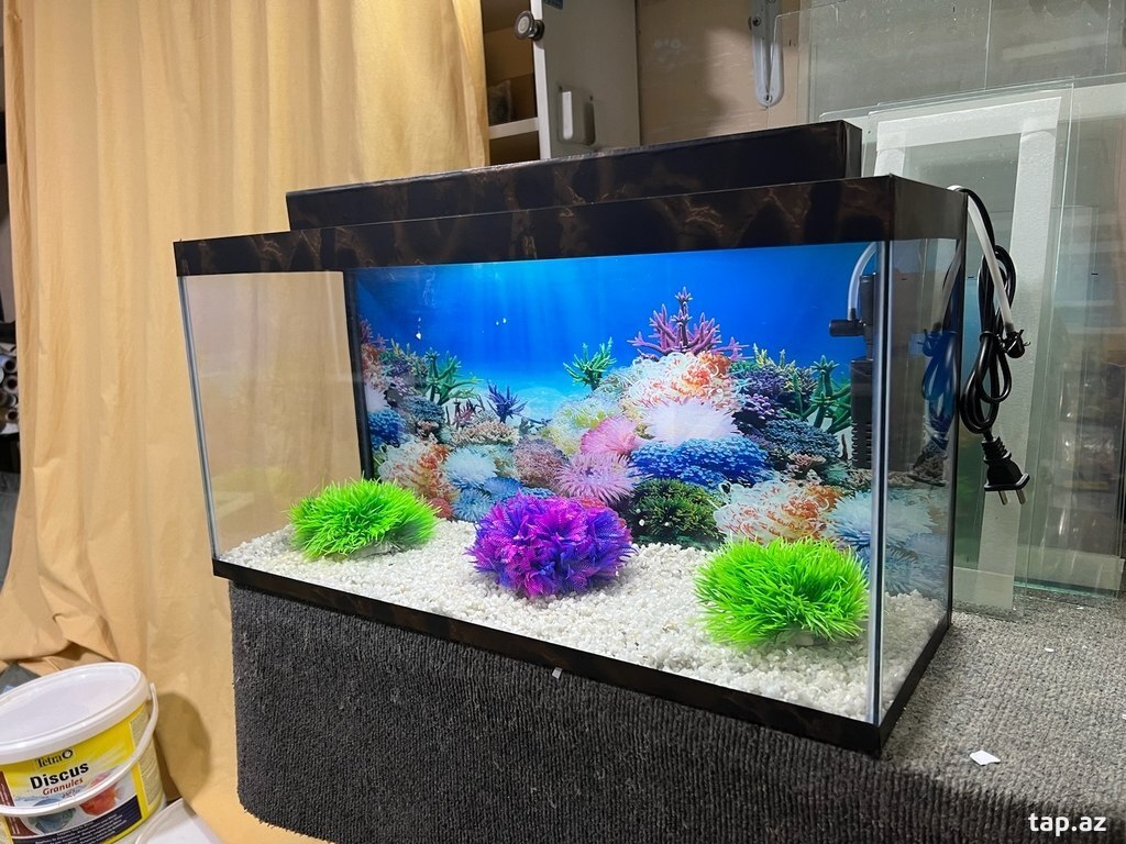 Akvarium