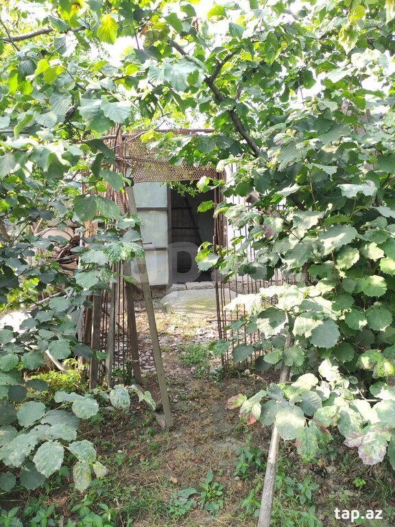 Həyət evi, Xaçmaz r.