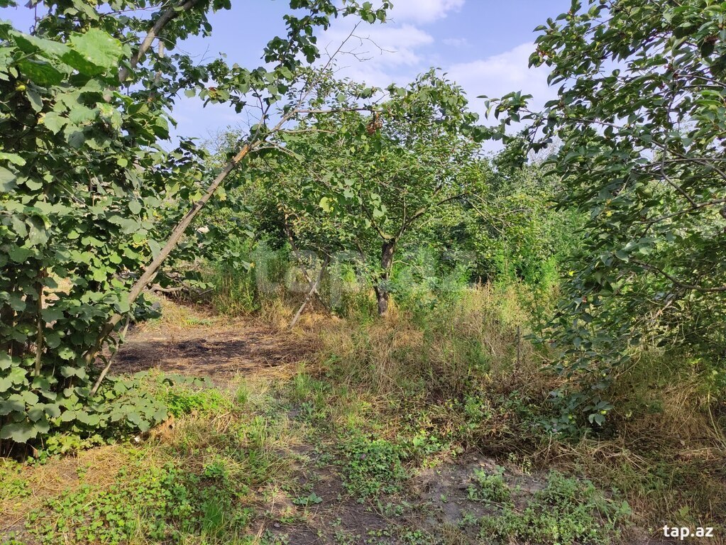 Həyət evi, Xaçmaz r.
