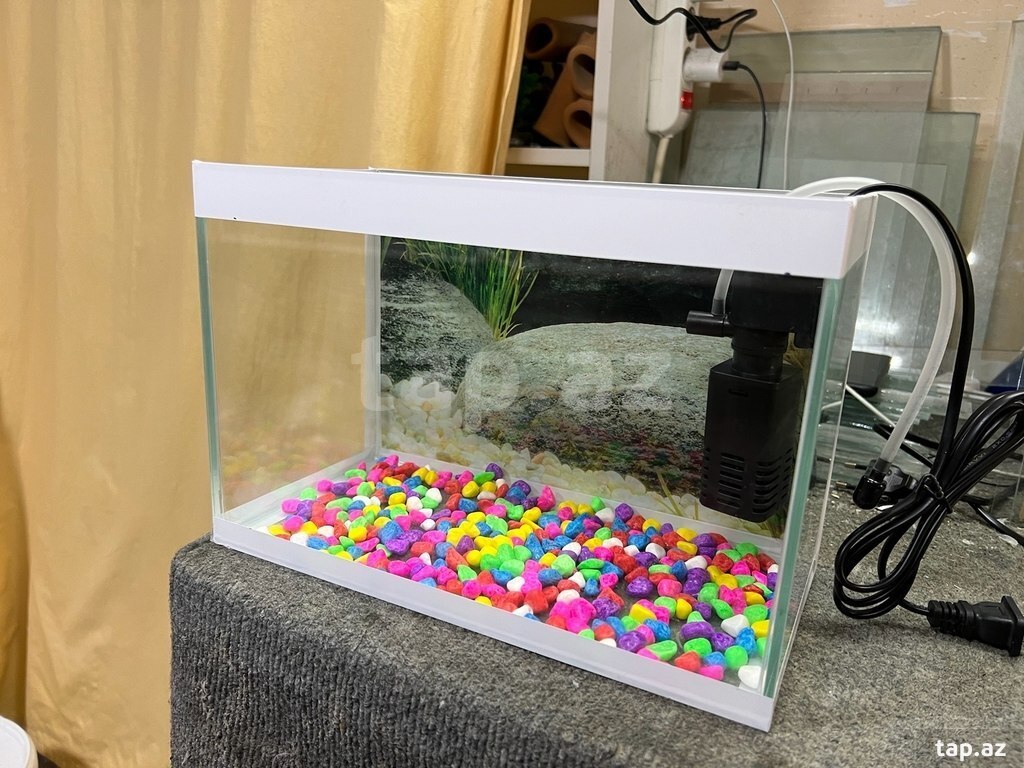 Akvarium