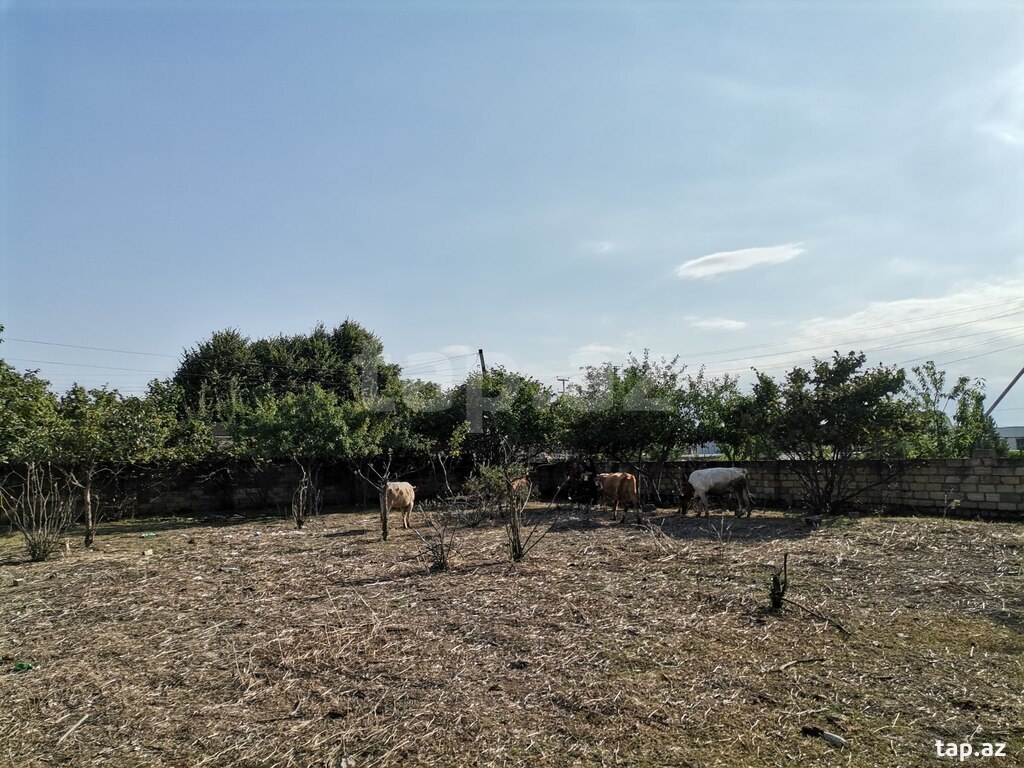 Həyət evi, Quba ş.