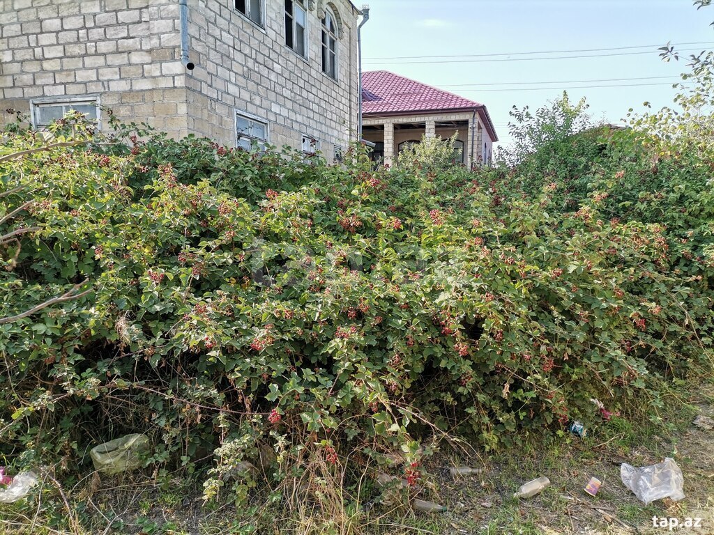Həyət evi, Quba ş.