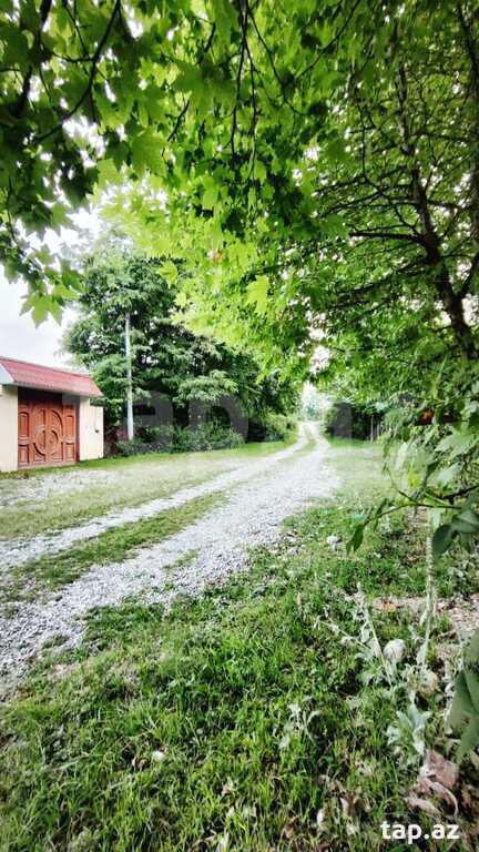 Həyət evi kirayə verilir, Qusar r.