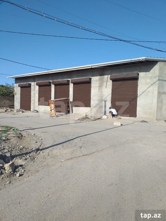 Avtomatik jalüz qapıları (16)
