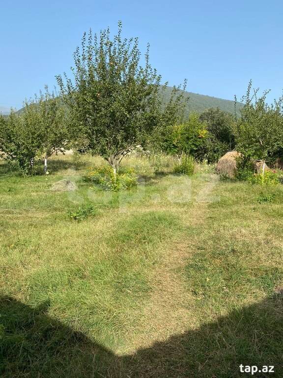 10 sot torpaq sahəsi, İsmayıllı r. (2)