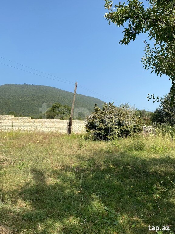 10 sot torpaq sahəsi, İsmayıllı r. (5)