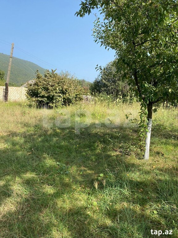 10 sot torpaq sahəsi, İsmayıllı r. (3)