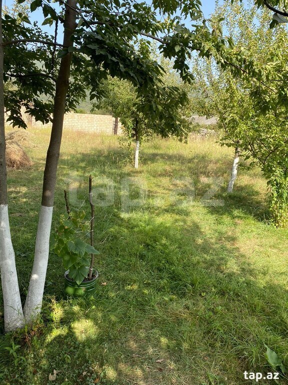 10 sot torpaq sahəsi, İsmayıllı r.