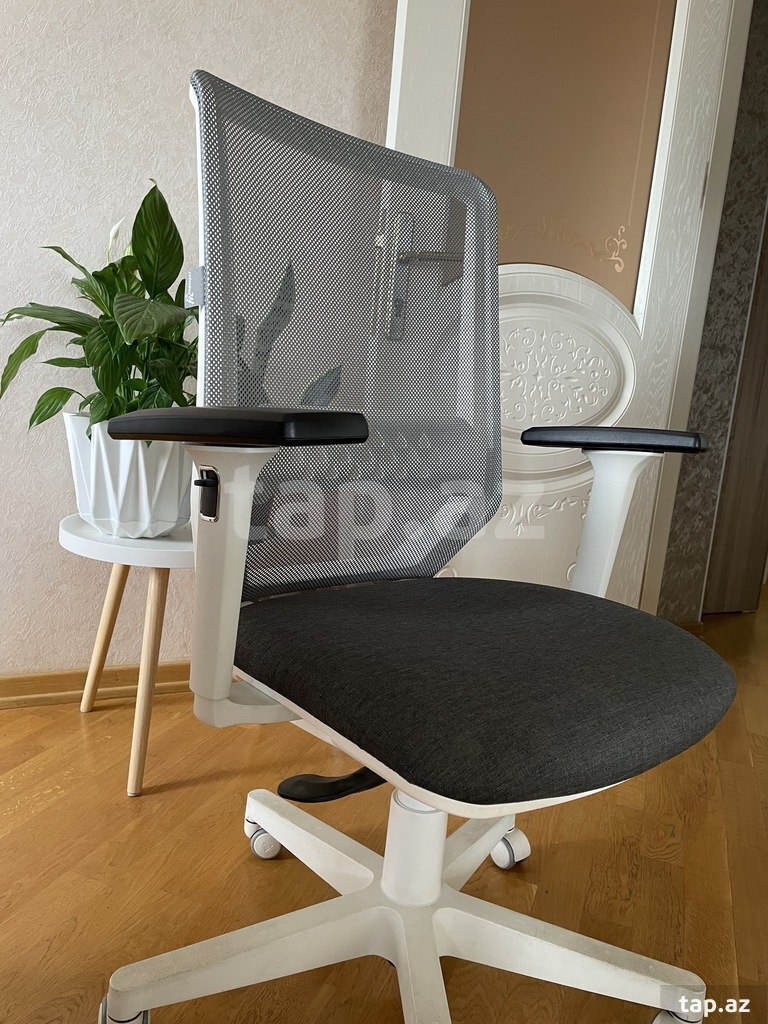 Ofis kreslosu  (5)