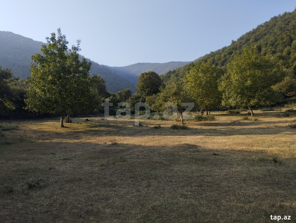 49 sot torpaq sahəsi, Oğuz r.