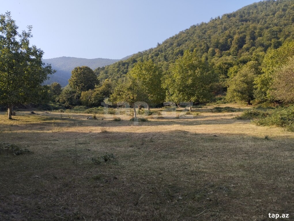 49 sot torpaq sahəsi, Oğuz r.