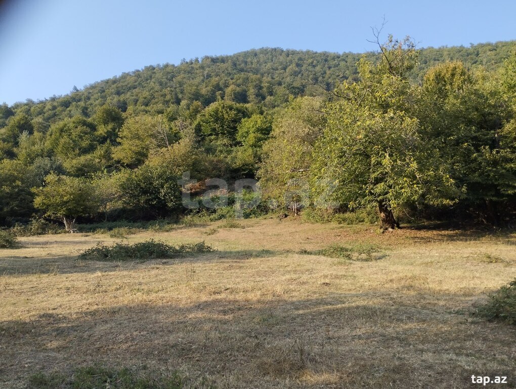 49 sot torpaq sahəsi, Oğuz r.