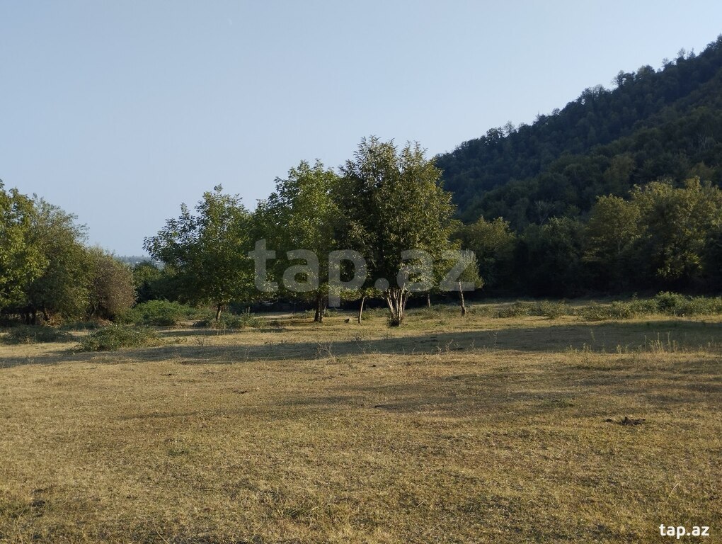 49 sot torpaq sahəsi, Oğuz r.