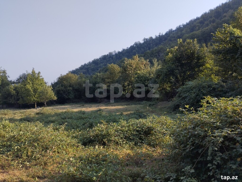49 sot torpaq sahəsi, Oğuz r.