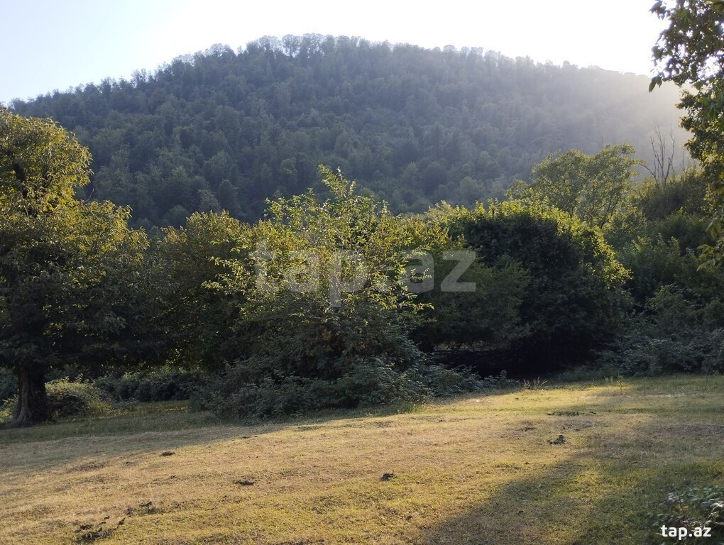 49 sot torpaq sahəsi, Oğuz r.