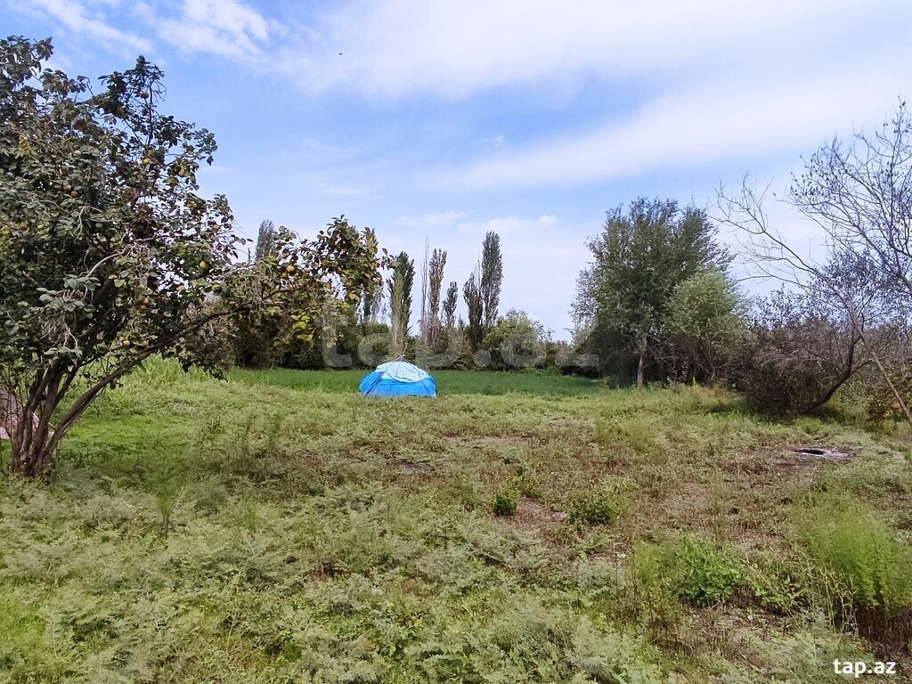 Həyət evi, İmişli r.
