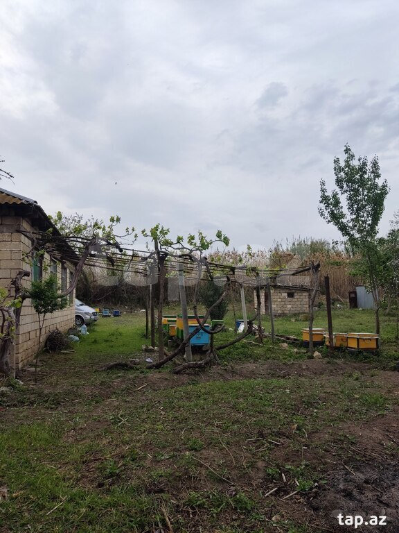 Həyət evi, İmişli r.