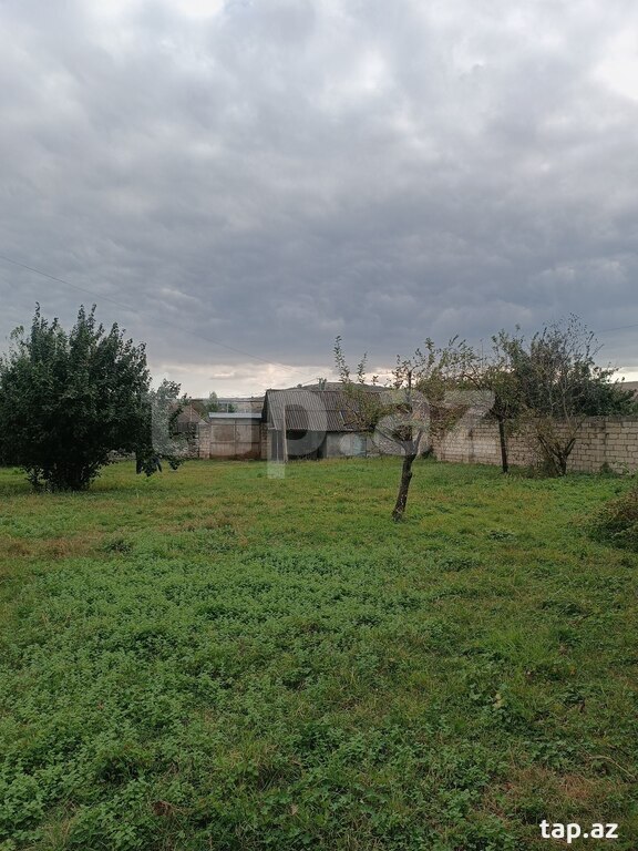 Land for sale, Ismayilli, Ismayilli