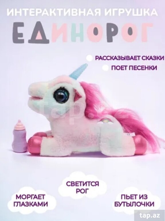 Oyuncaq poni