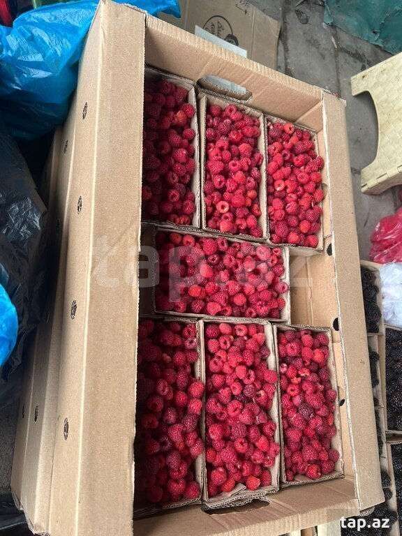 Karton qutuların sifarişi (9)