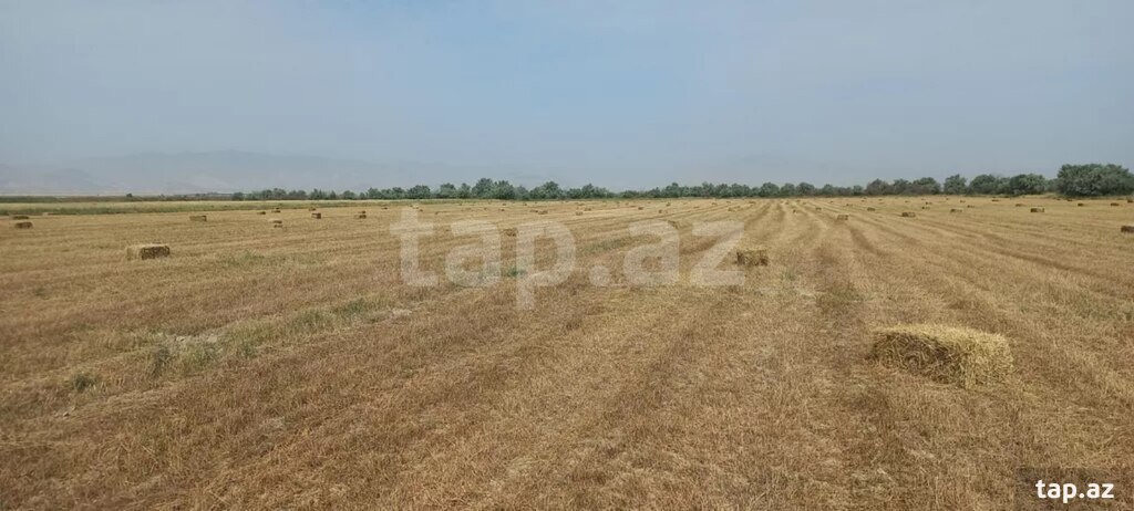 300 sot torpaq sahəsi, Xızı r.