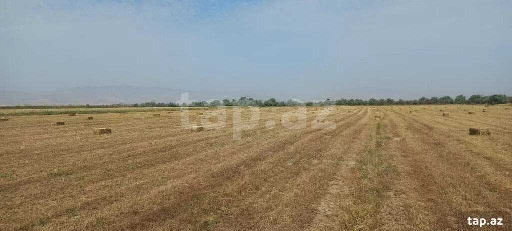 300 sot torpaq sahəsi, Xızı r.