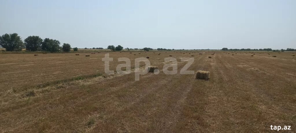 300 sot torpaq sahəsi, Xızı r.