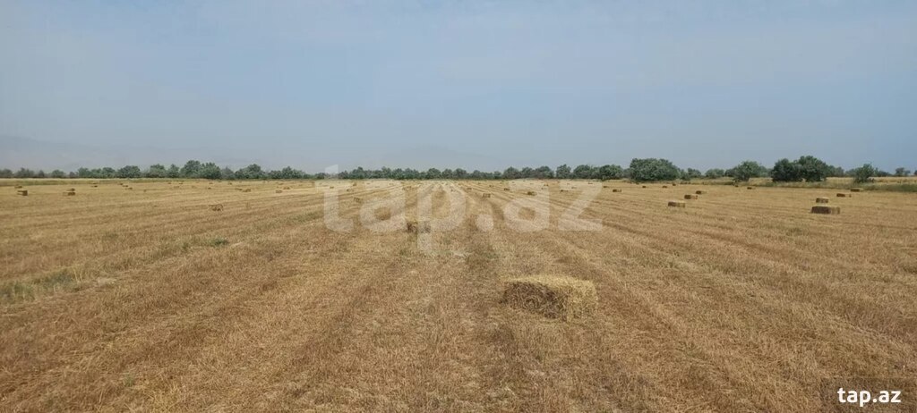 300 sot torpaq sahəsi, Xızı r.