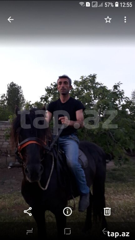 Bağ və heyvanlara baxan işi axtarıram (2)
