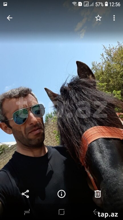 Bağ və heyvanlara baxan işi axtarıram (5)