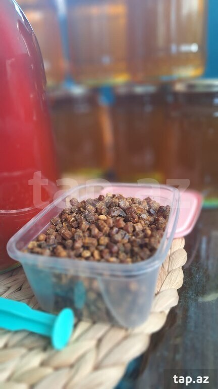 Güləm perqa