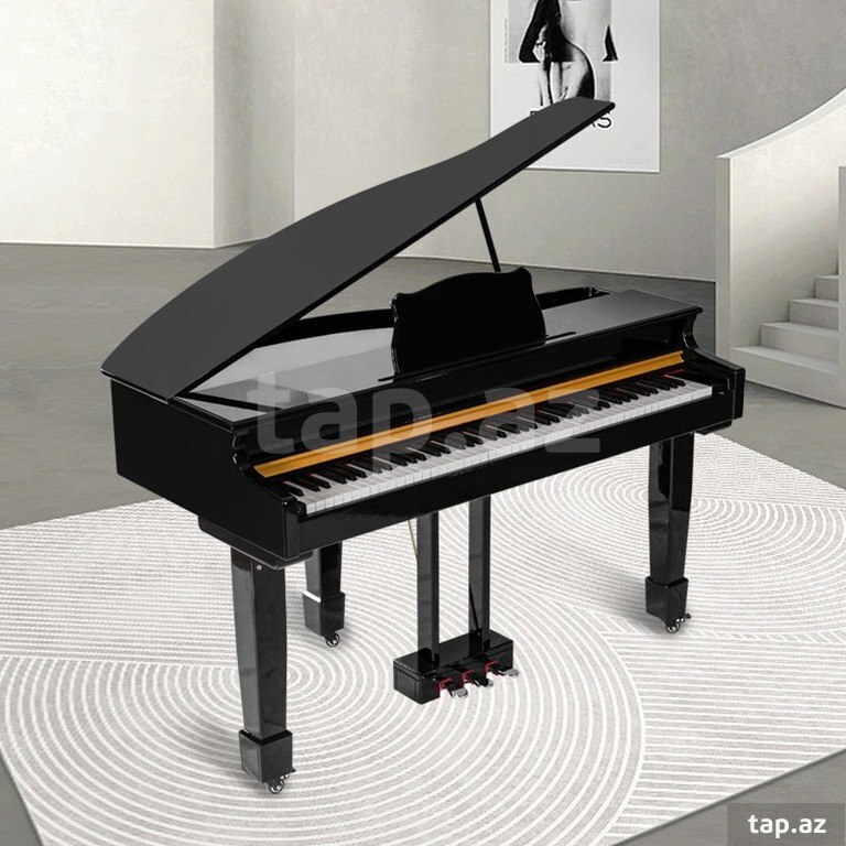 Elektro royal (2)