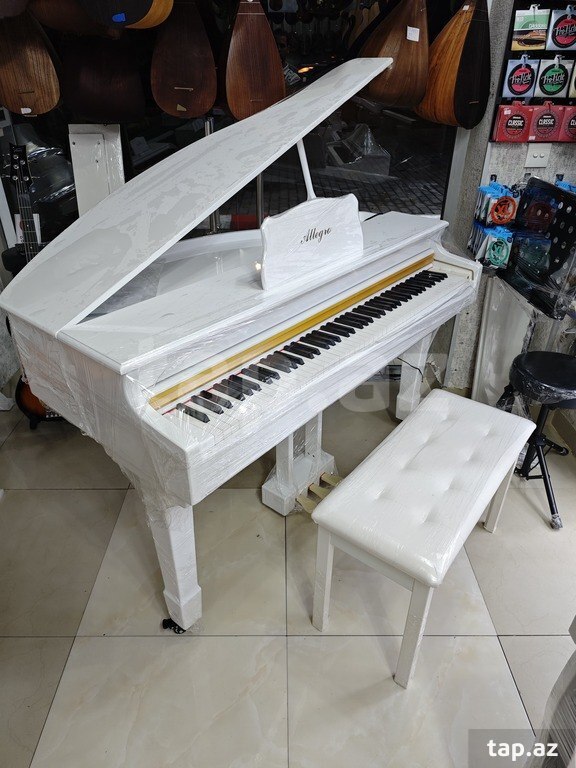 Elektro royal (14)