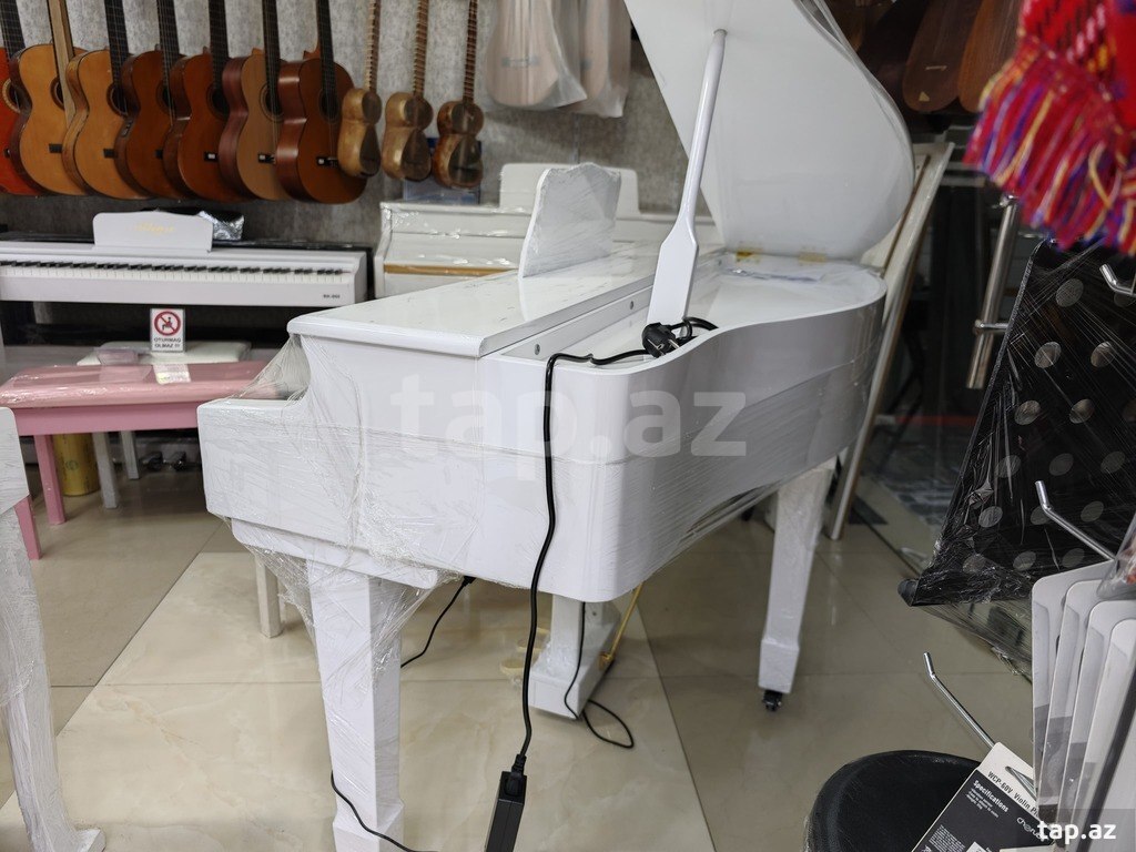 Elektro royal (7)
