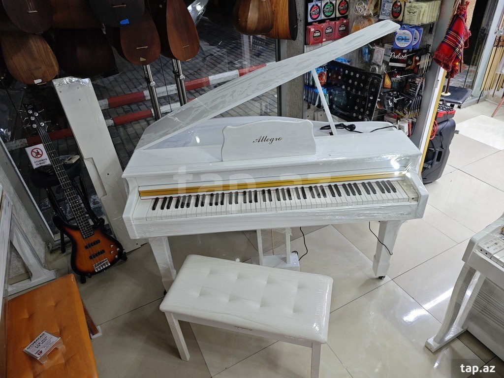 Elektro royal (8)