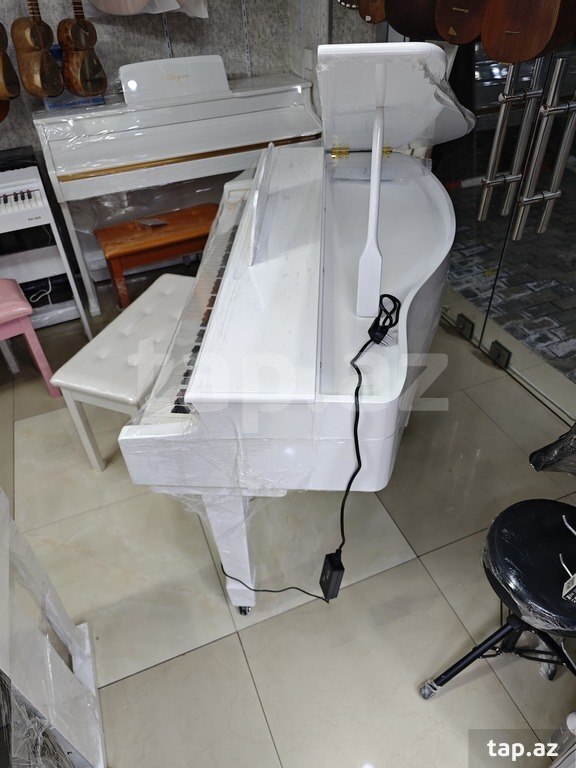 Elektro royal (6)