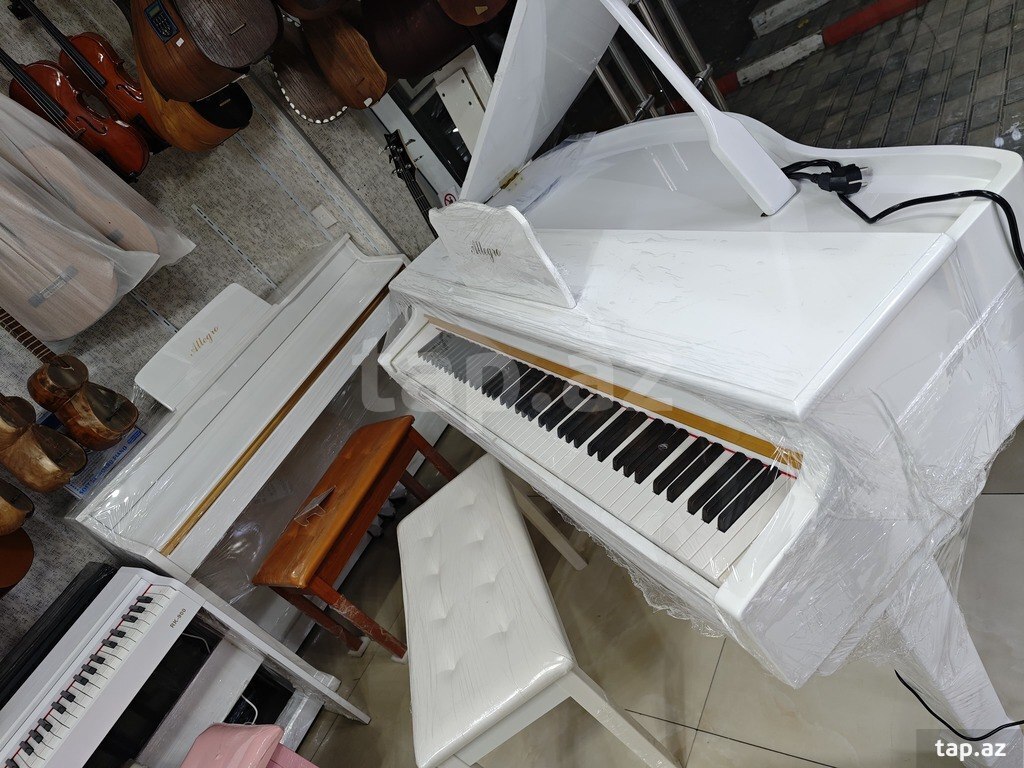 Elektro royal (4)