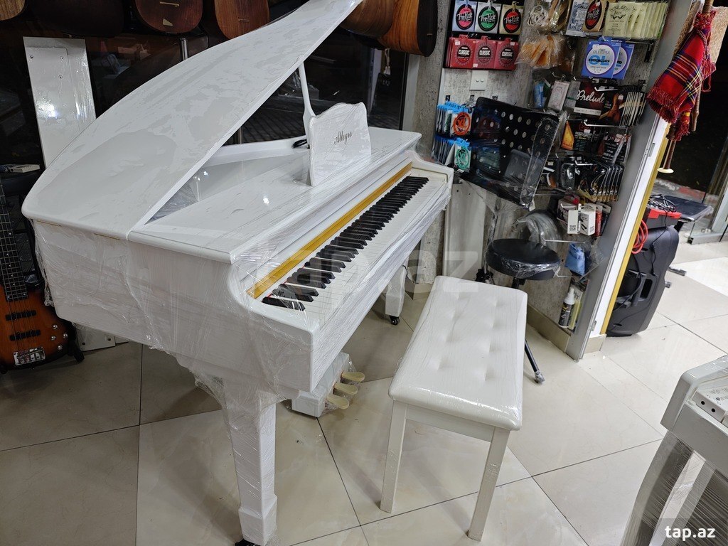 Elektro royal (10)