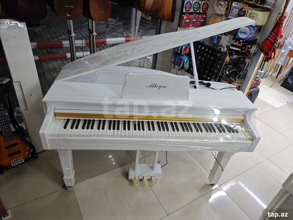 Elektro royal (5)