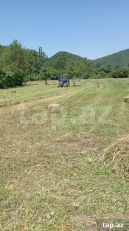 1000 sot torpaq sahəsi, Balakən r. (5)